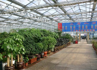 青州国际花卉市场施工